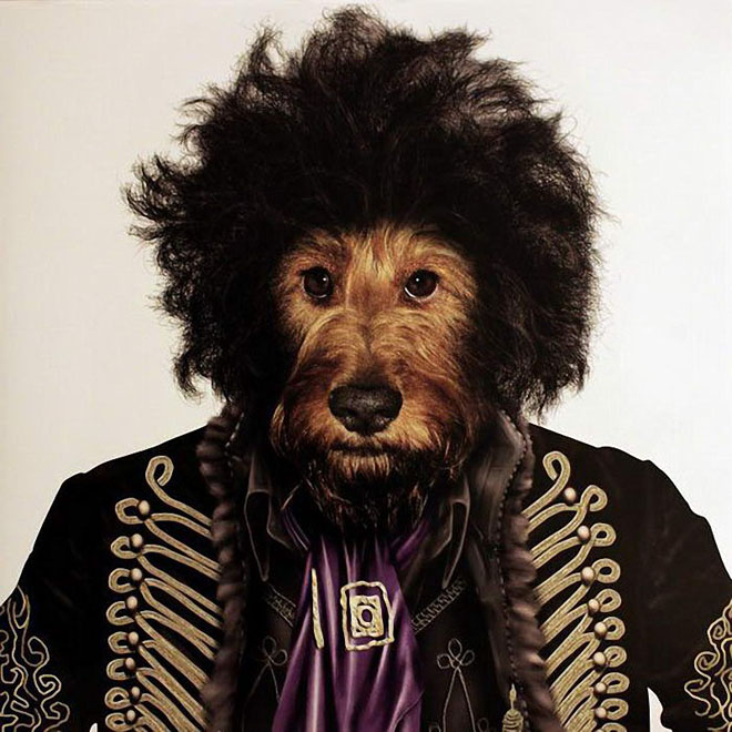 Jimi Hendrix - Dog Disguisefamous person faces celebrity animal funny